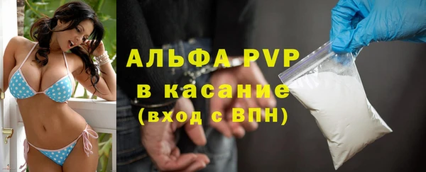 СК Горно-Алтайск