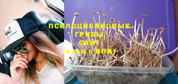 наркотики Гусиноозёрск