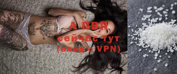 apvp Гусев