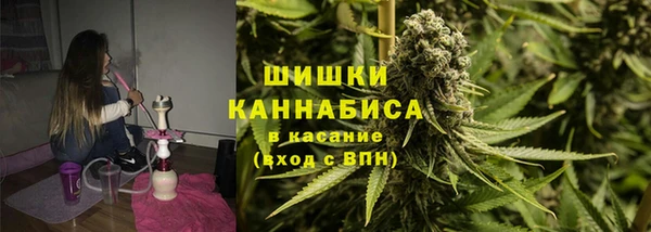 СК Горно-Алтайск