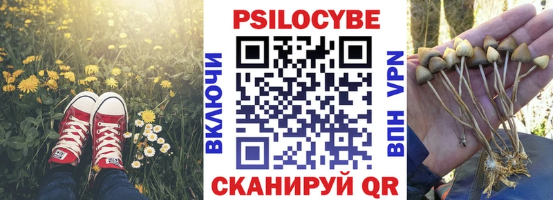 Купить  Куровское  Псилоцибиновые грибы прущие грибы 