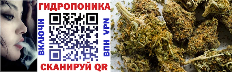 Каннабис SATIVA & INDICA  Купить где  Куровское 